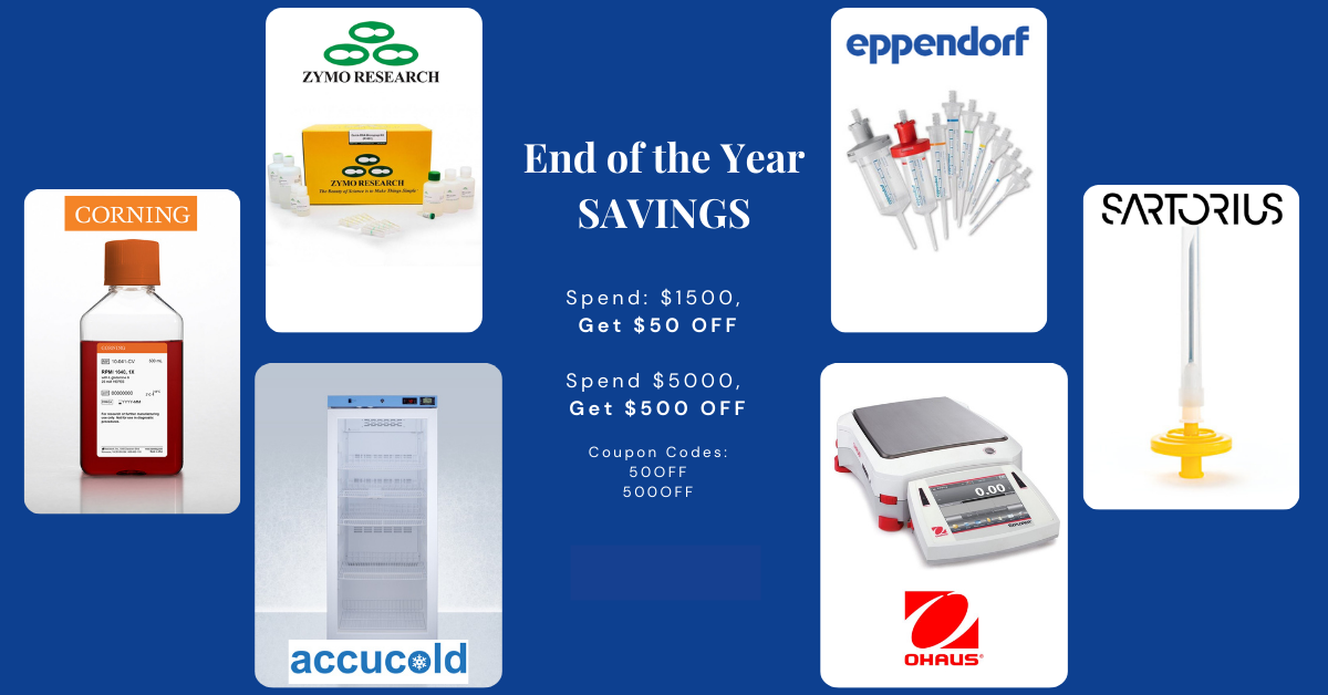 Back to School Sale Banner
